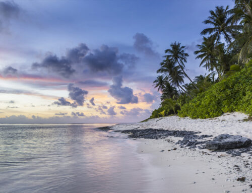 Face Painting & Kids Craft Corner – Weekends