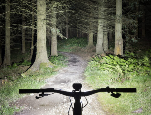 Mountain Biking Light Trail