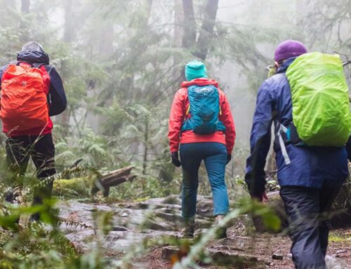 Guided Hiking And Bird-Watching Tours